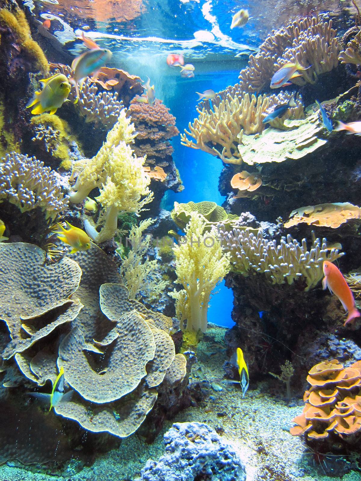 Aquarium in Monte Carlo