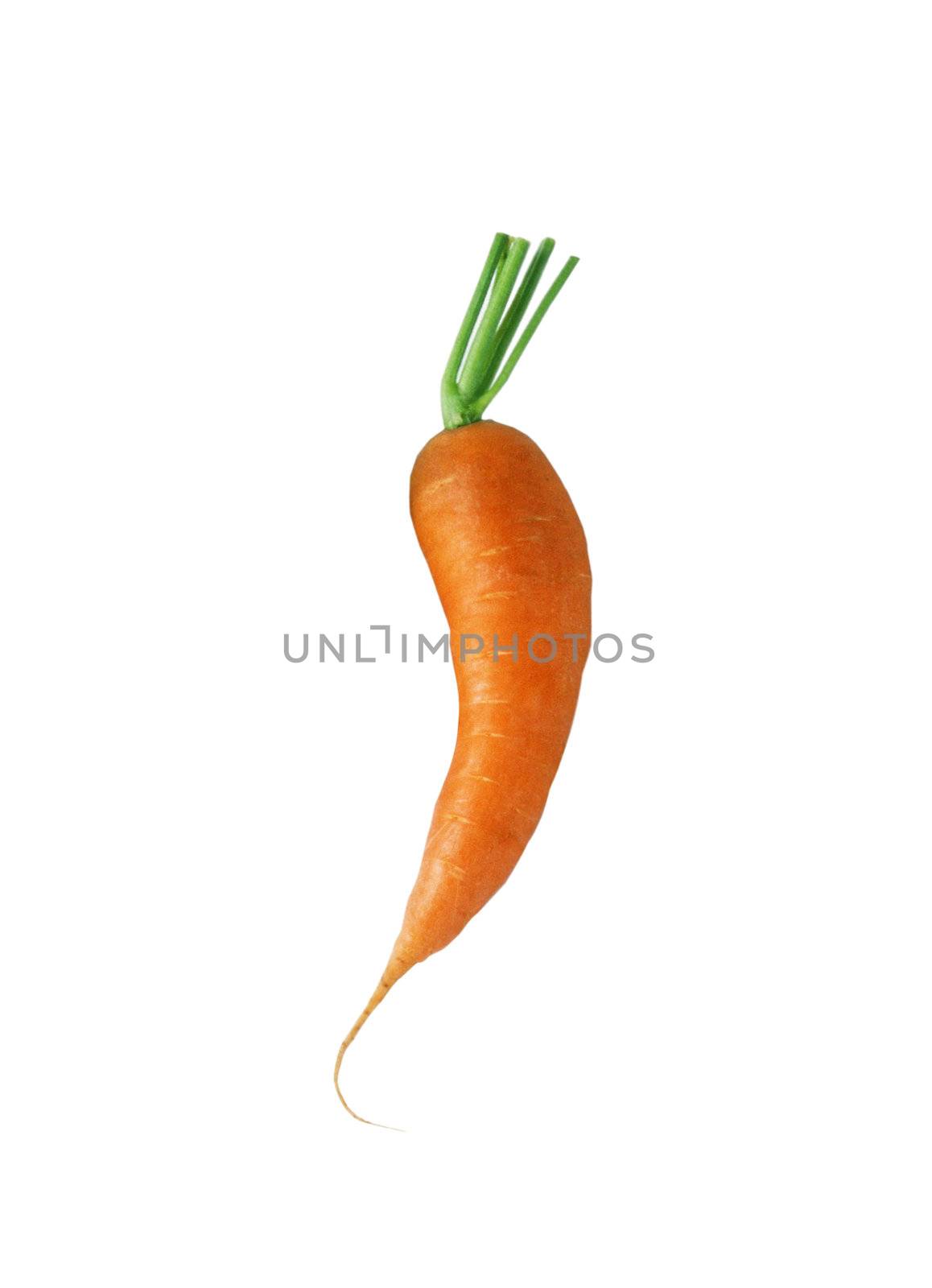 Carrot isolated on white