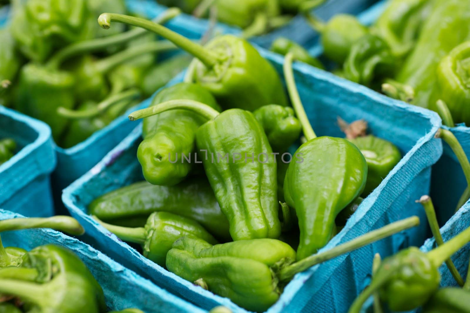 Hot Green Peppers at the Market by bobkeenan