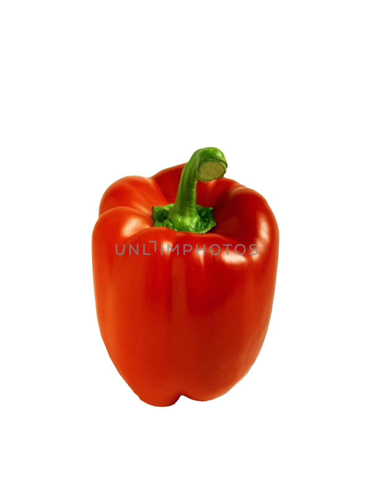 paprika isolated on white