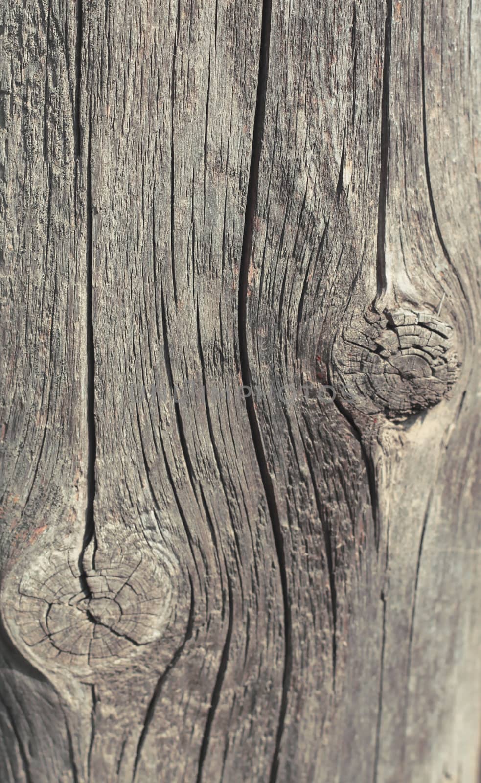 Old wooden texture background black and white