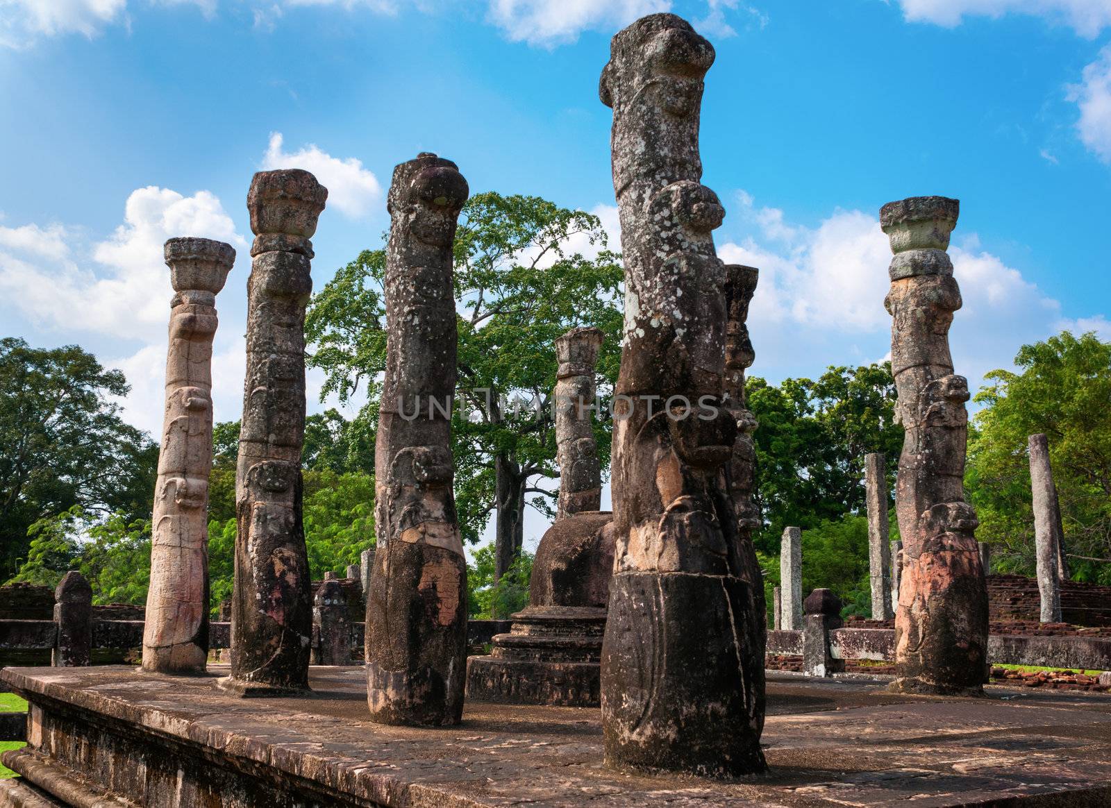 Granite columns of the Nissanka Latha Mandapaya, a unique structure in the ancient city of Polonnaruwa in Sri Lanka. 