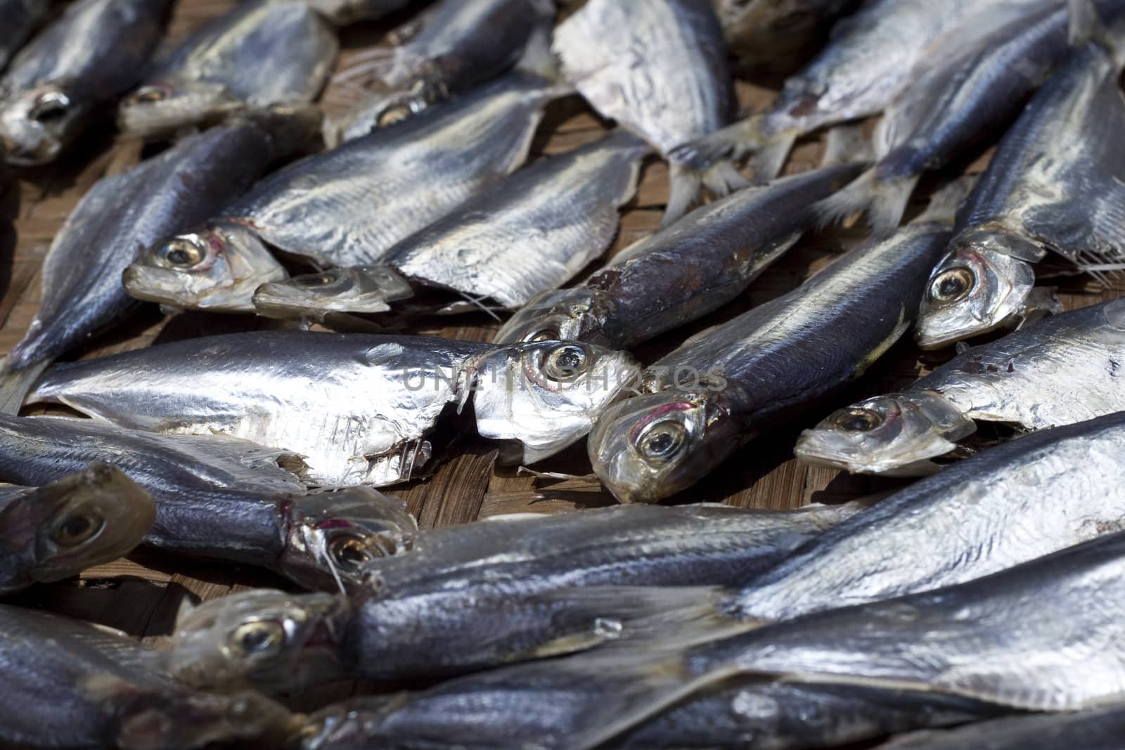 Dried fish