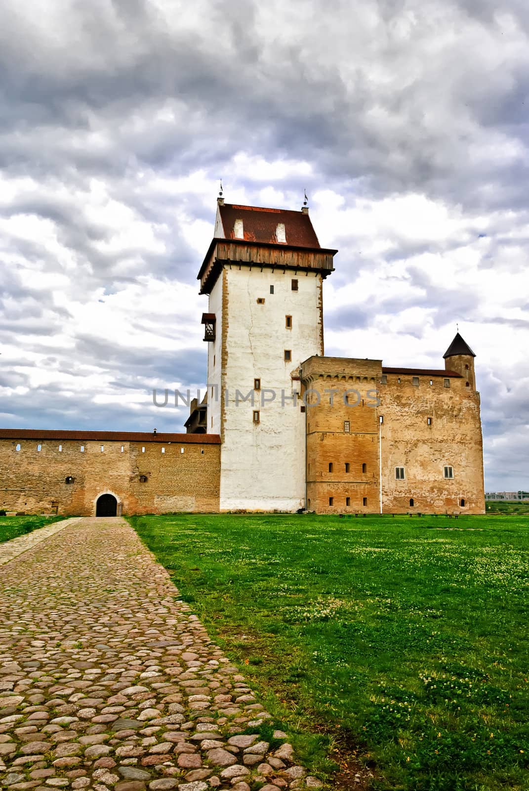 Beautiful medieval castle view  by dmitrimaruta