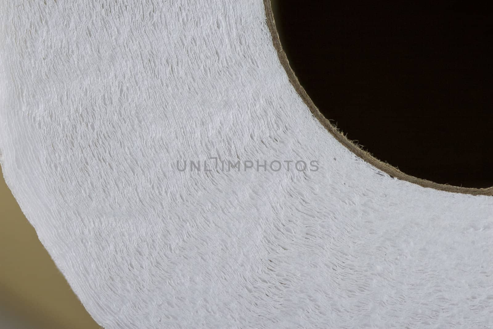 Details of Toilet Paper