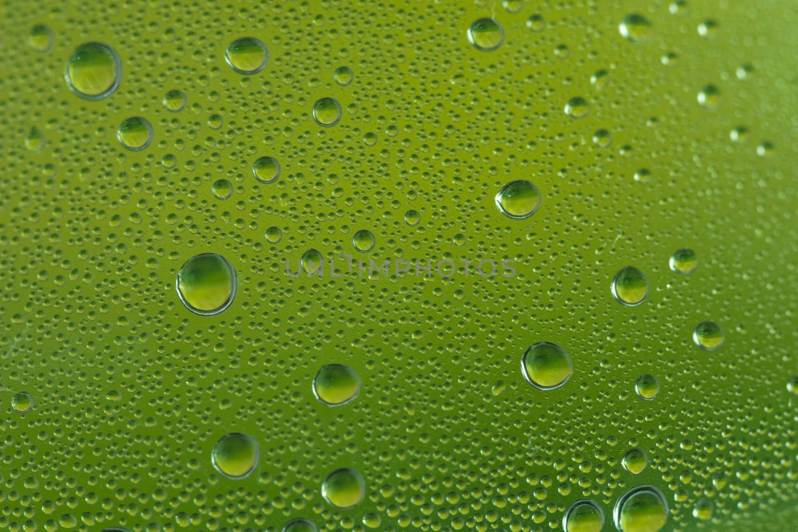 Water Drops