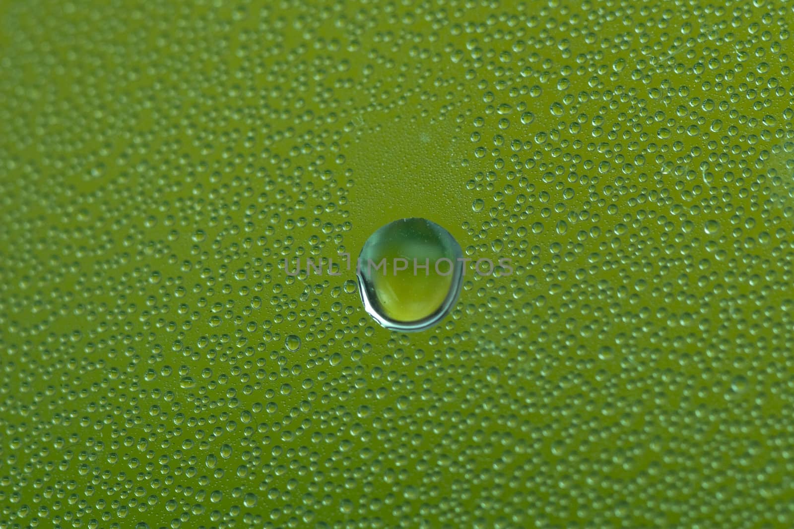 Water Drops