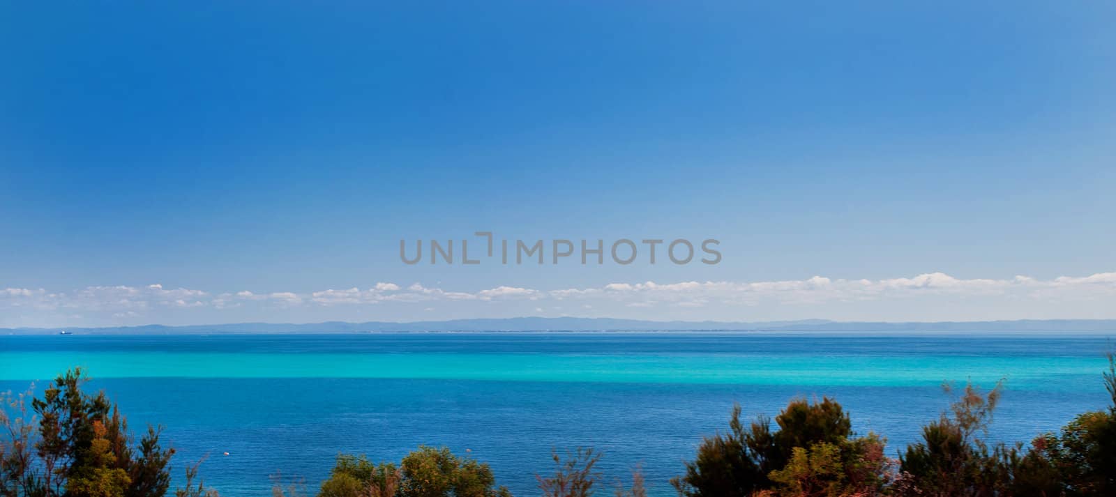 Wide crystal blue serene seascape under a clear blue sky with trees in the foreground