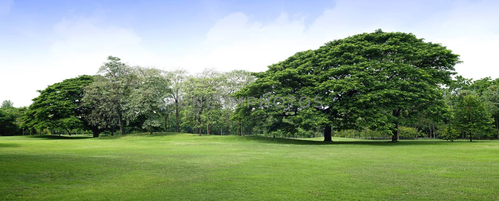 Panorama scenery of park, Thailand