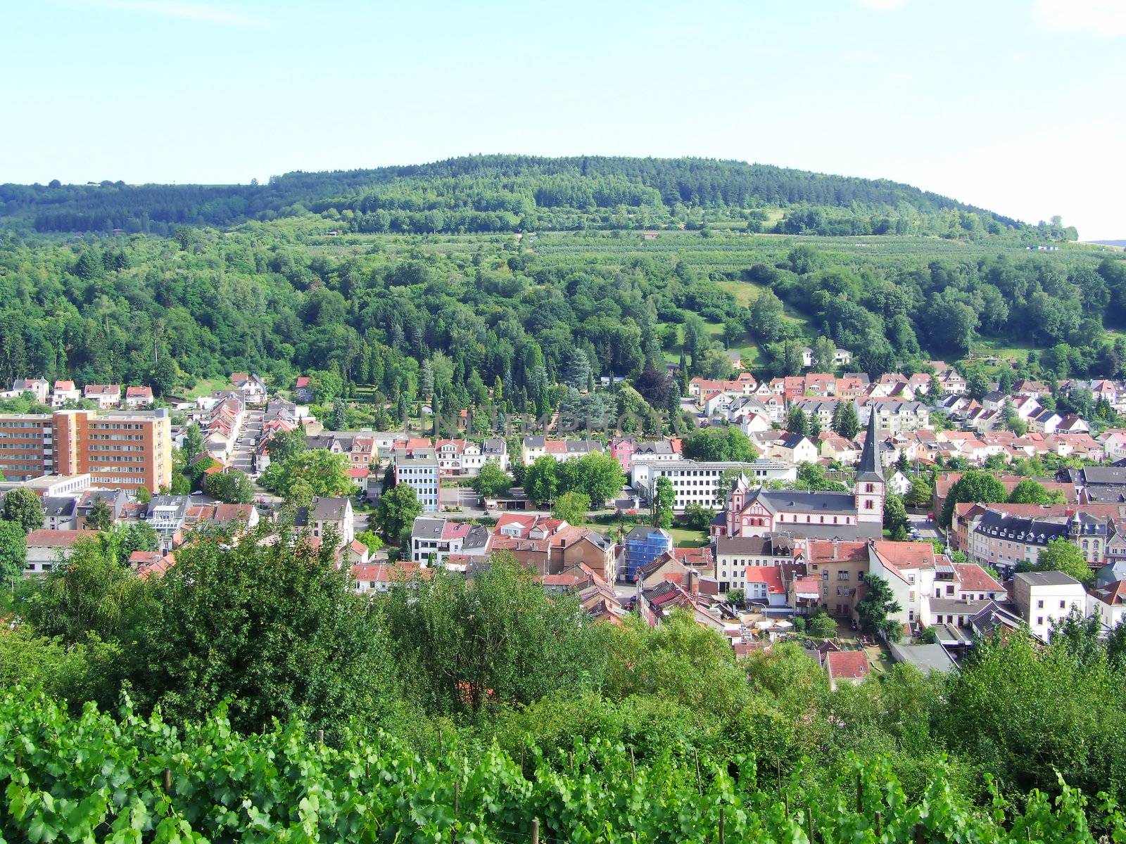 Blick von der Kreuzbergkapelle auf Merzig Saar
