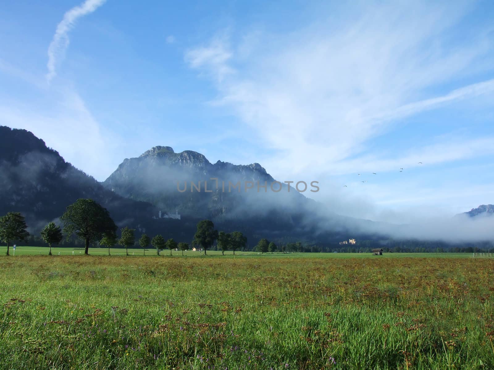 der Schwangau bei Füssen im Morgennebel