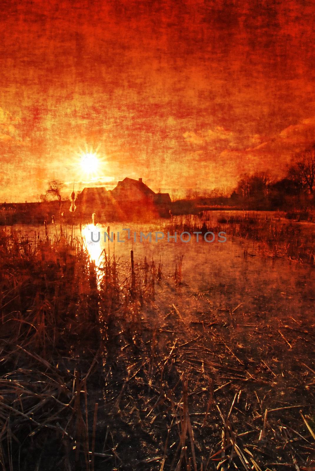 Sunset above the pond with bulrush with a cottage in grungy design