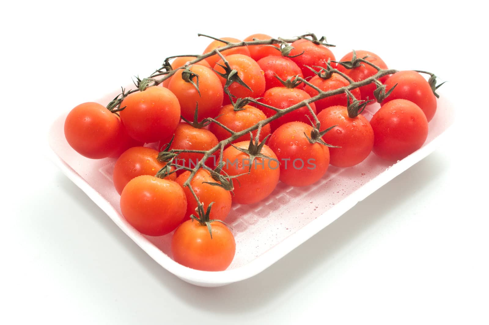 Cherry tomatoes on vine with water drops. Isolated