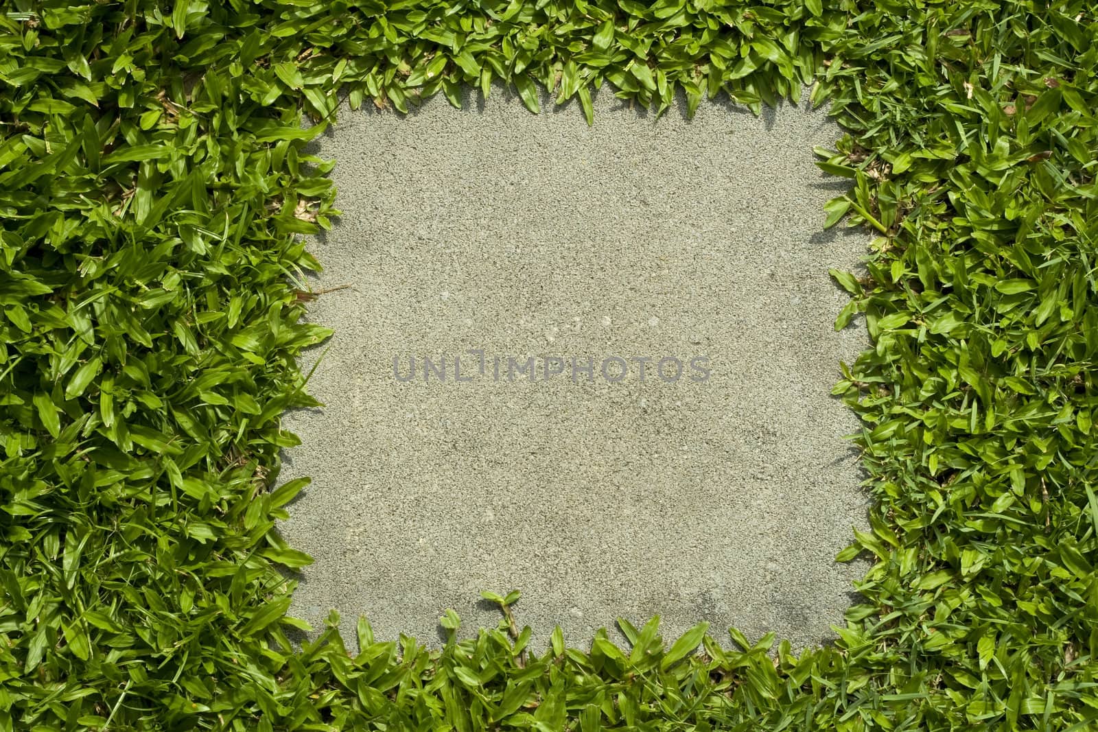 Close up of Stone Pathway