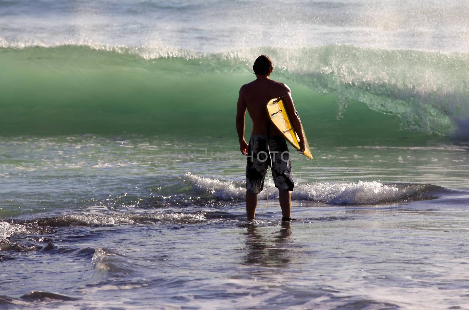 Surfer by friday