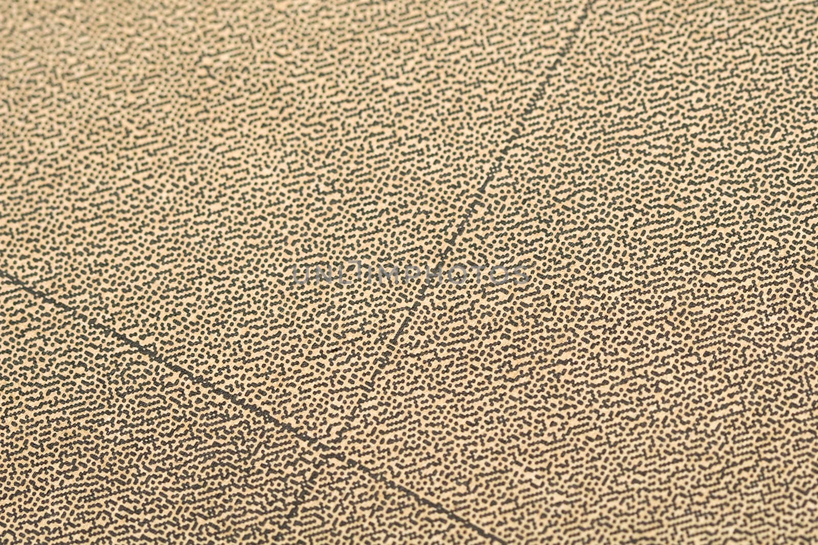 Lines on the Cardboard