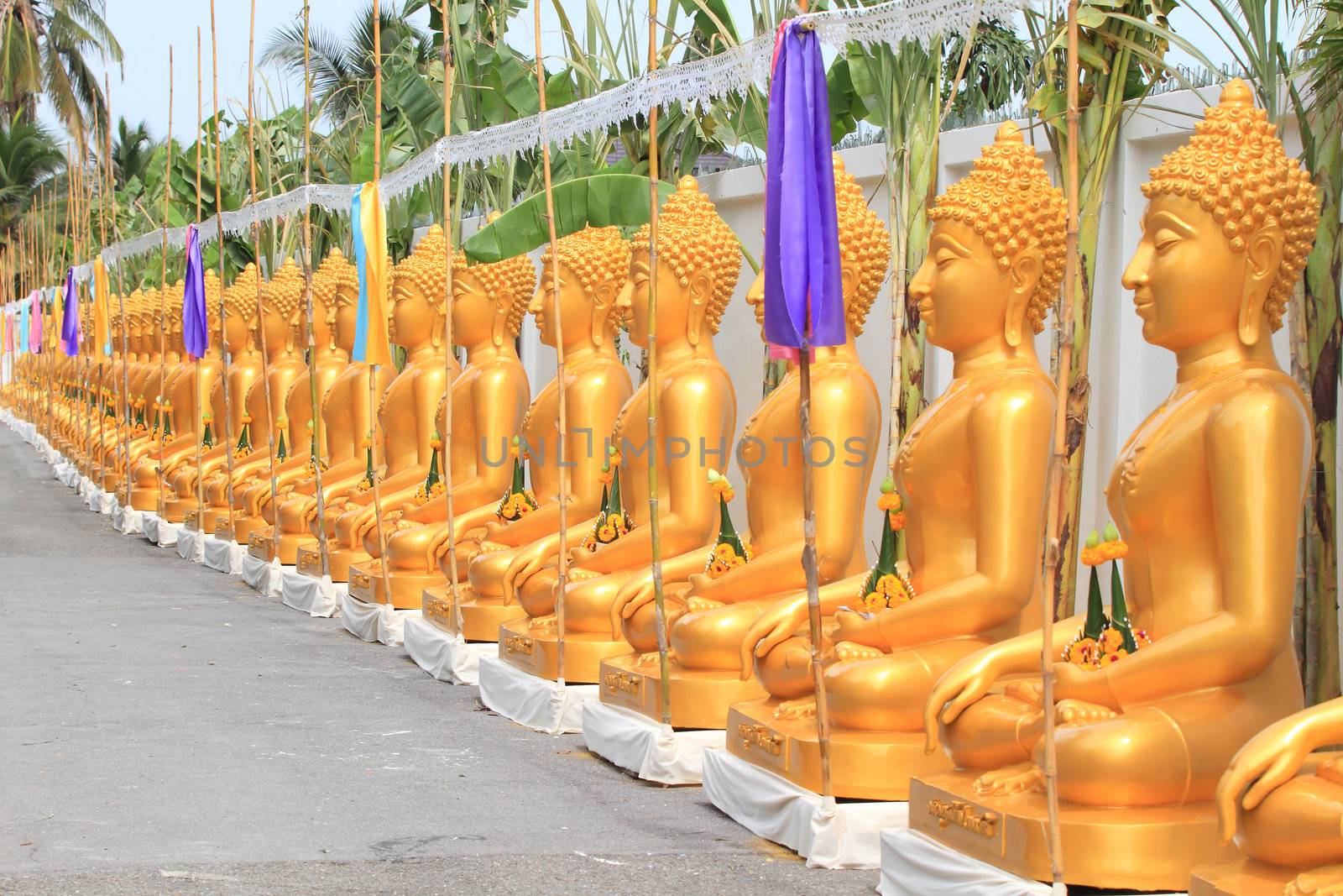 a row of golden buddha statue