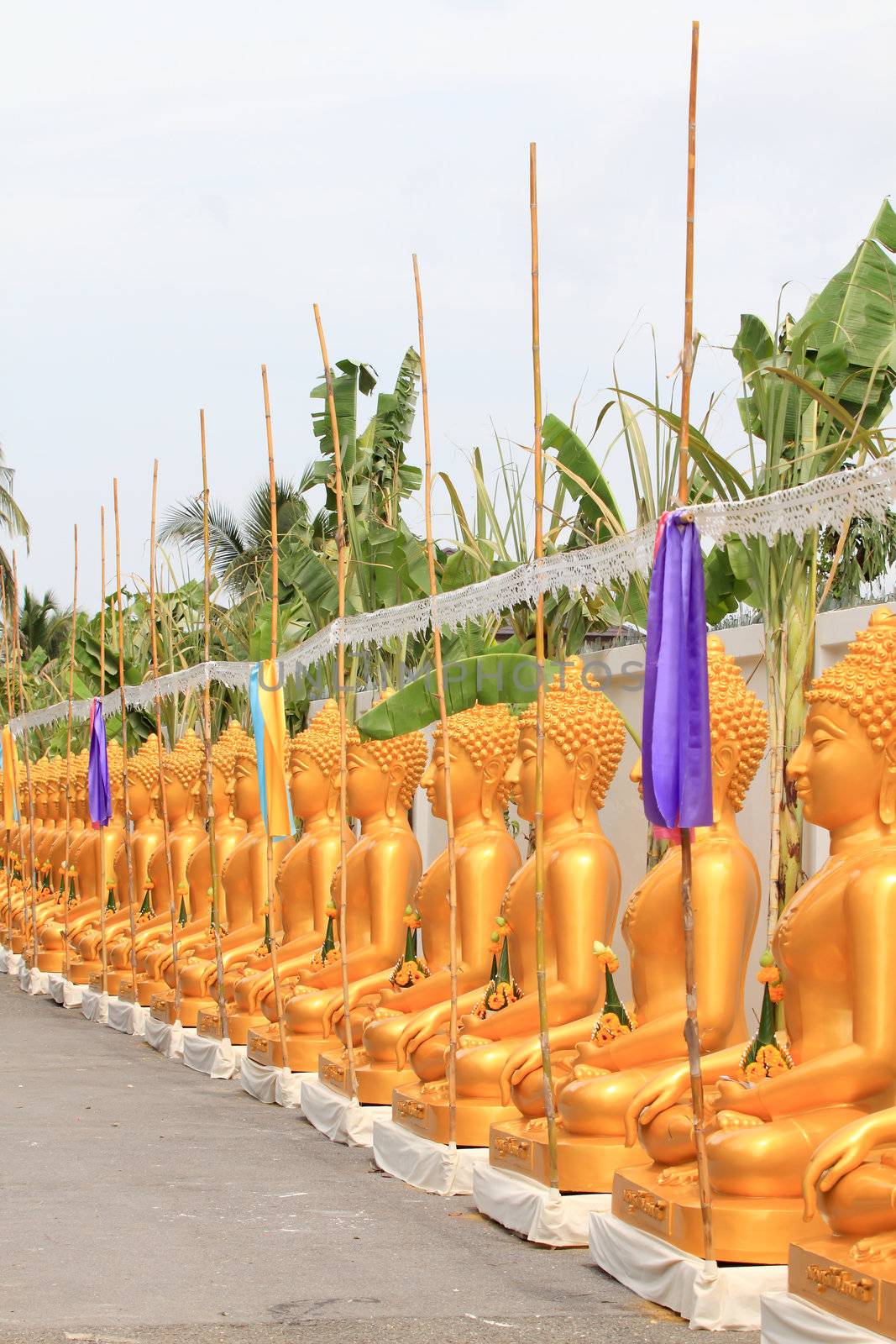 a row of golden buddha statue by rufous