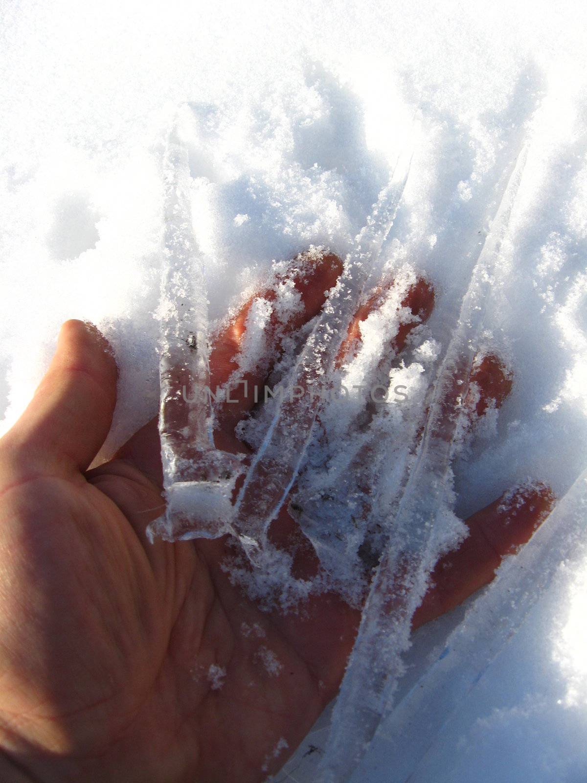 Icicles laying on a palm on the snow