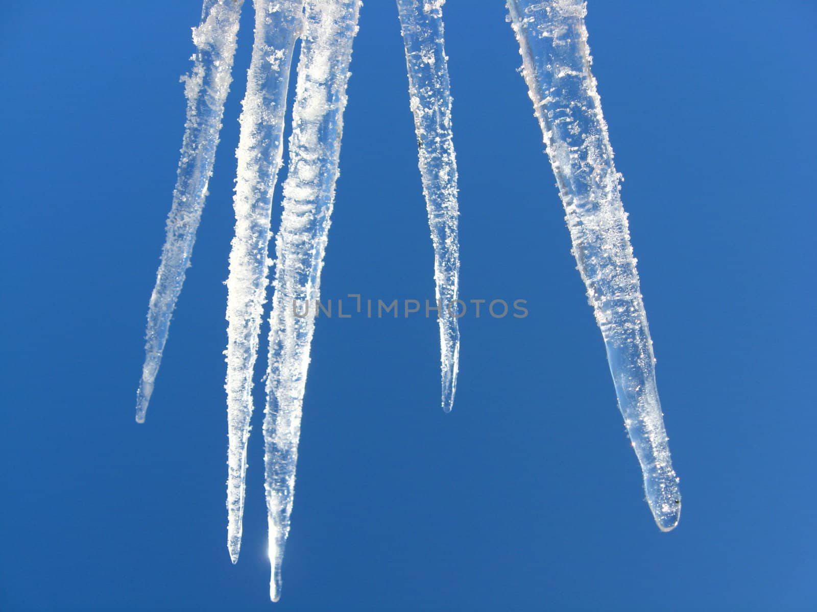 Icicles on a background of the blue sky by alexmak