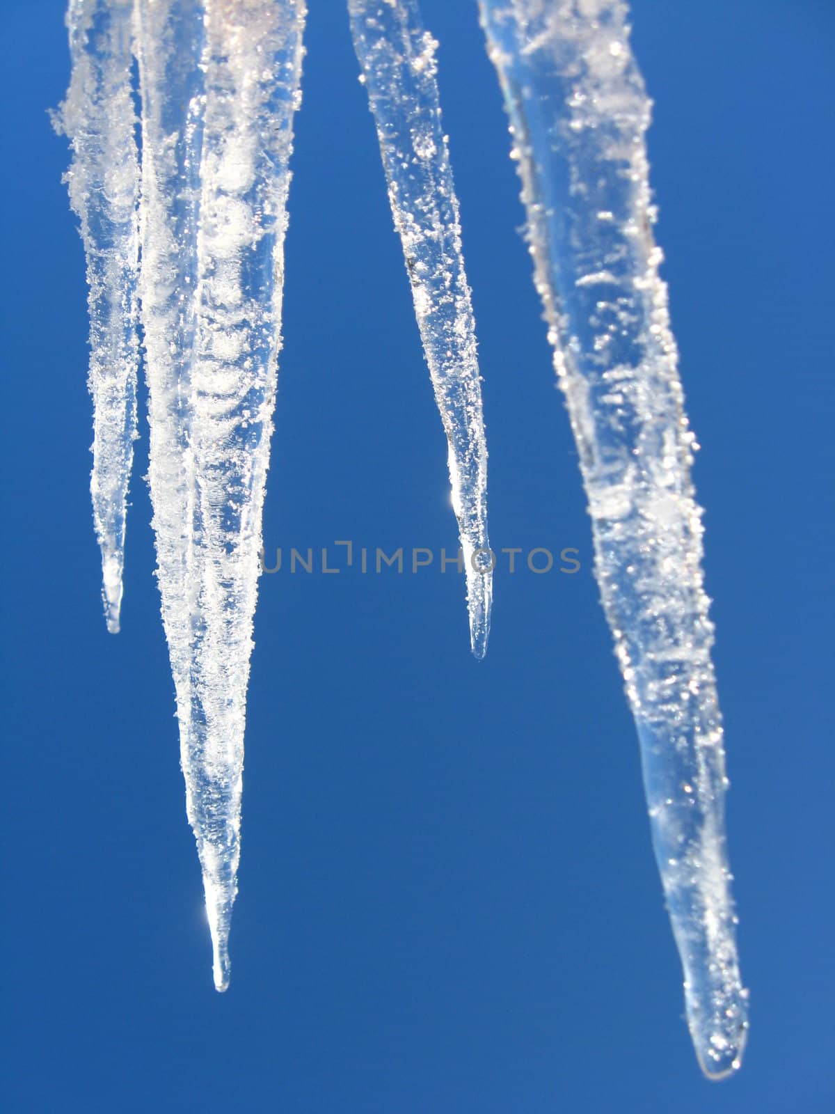 Icicles on a background of the blue sky by alexmak