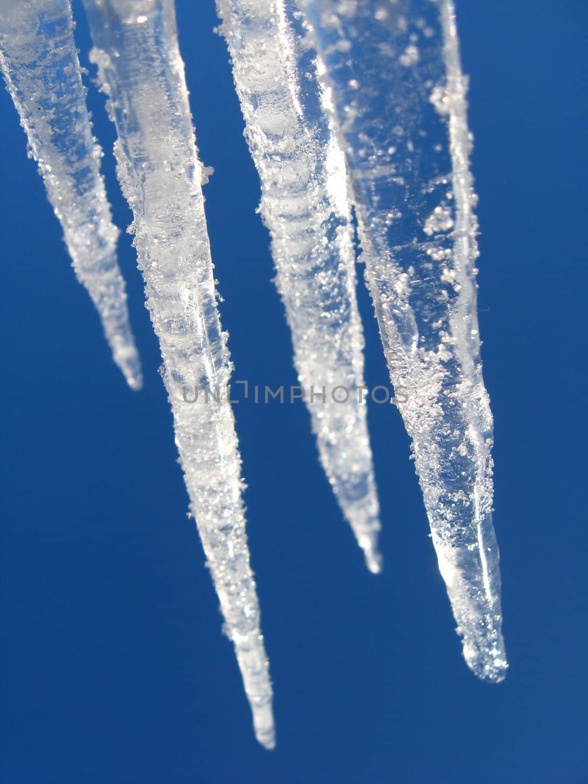 Icicles on a background of the blue sky by alexmak