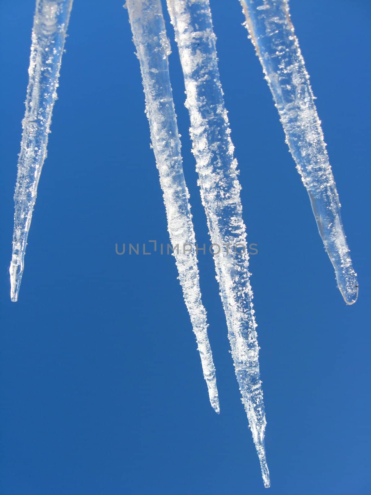 Icicles on a background of the blue sky by alexmak