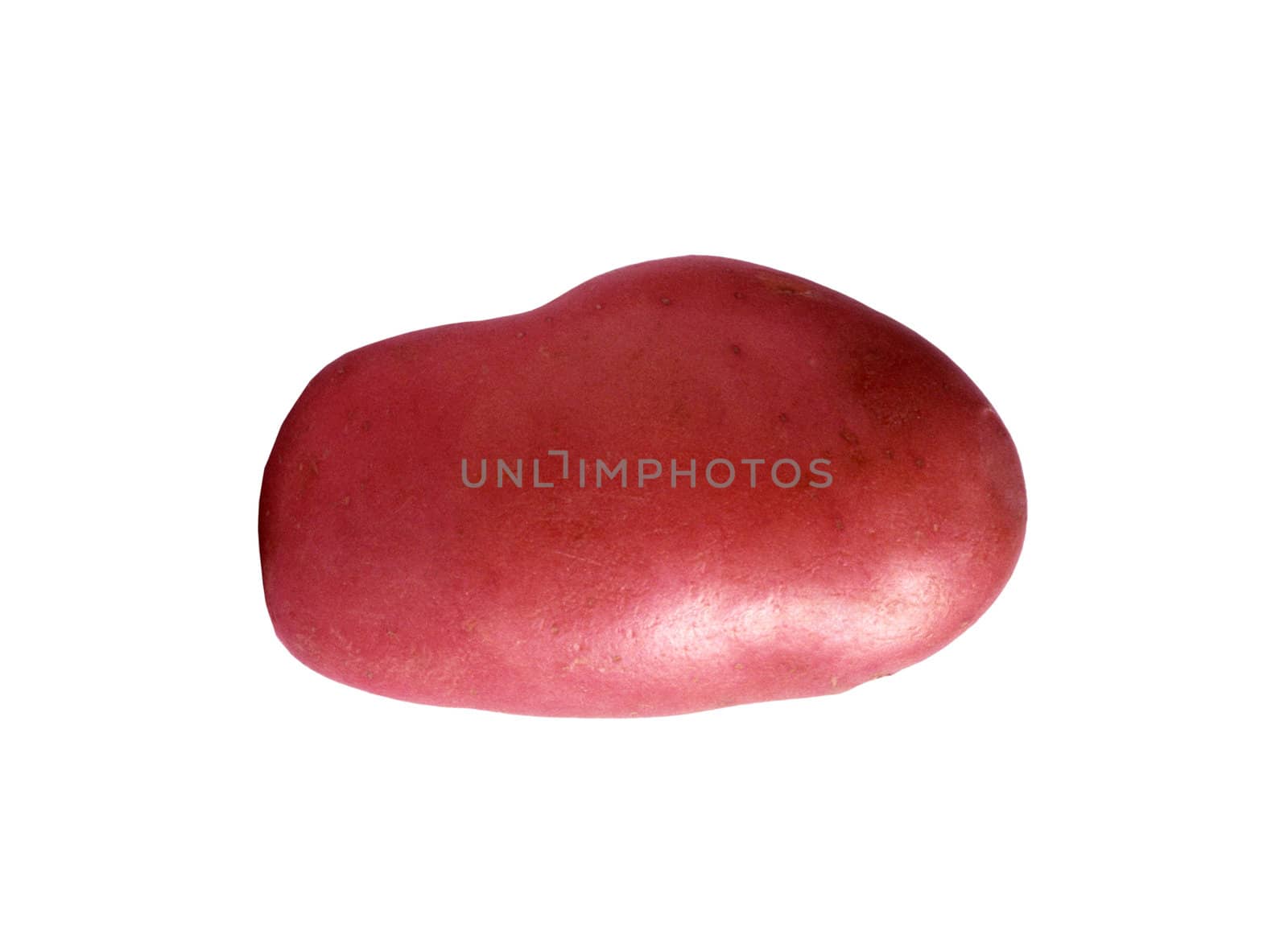 Red potatoe isolated on white