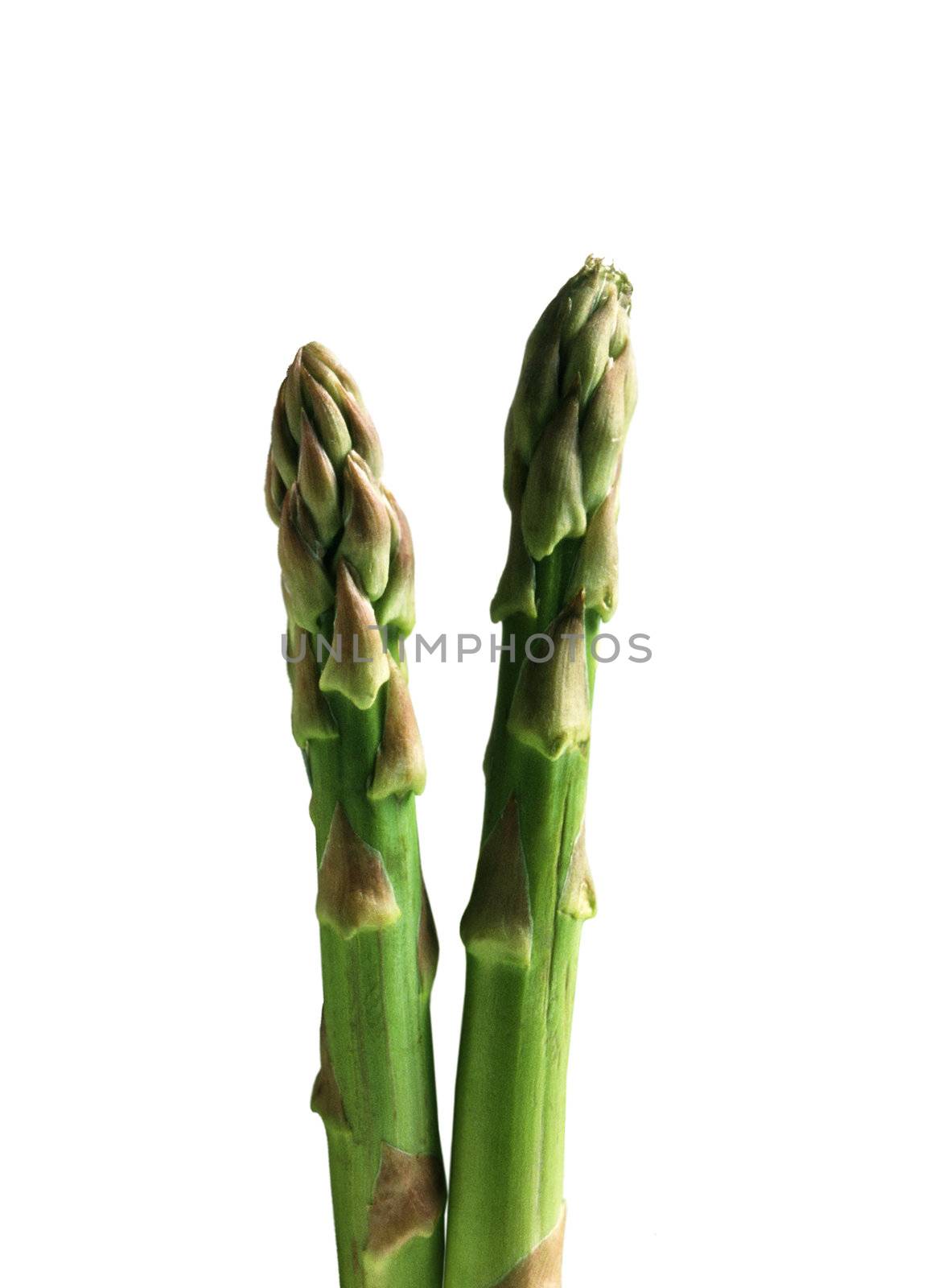 Aspargus isolated on white