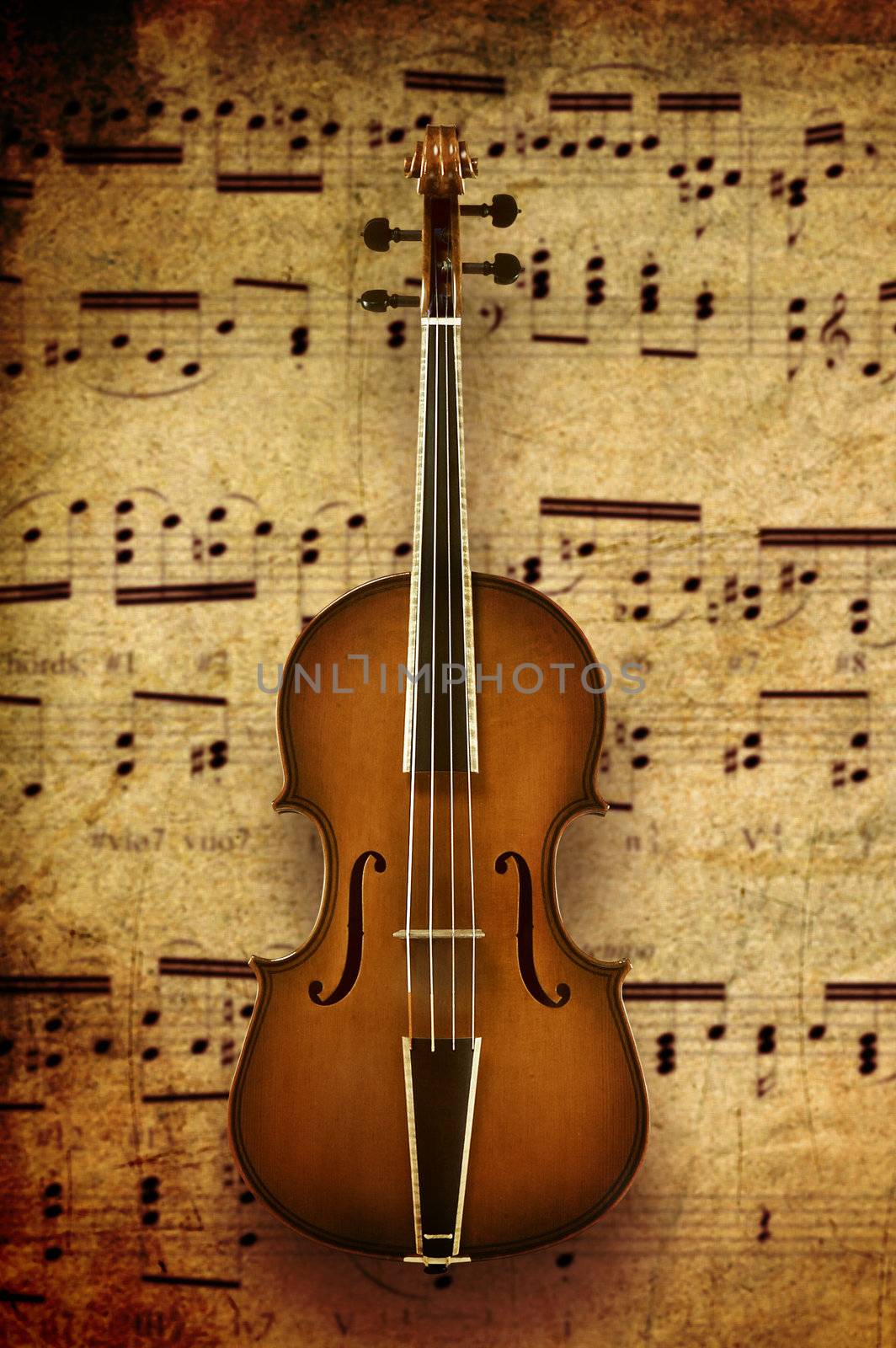 violin on note background
