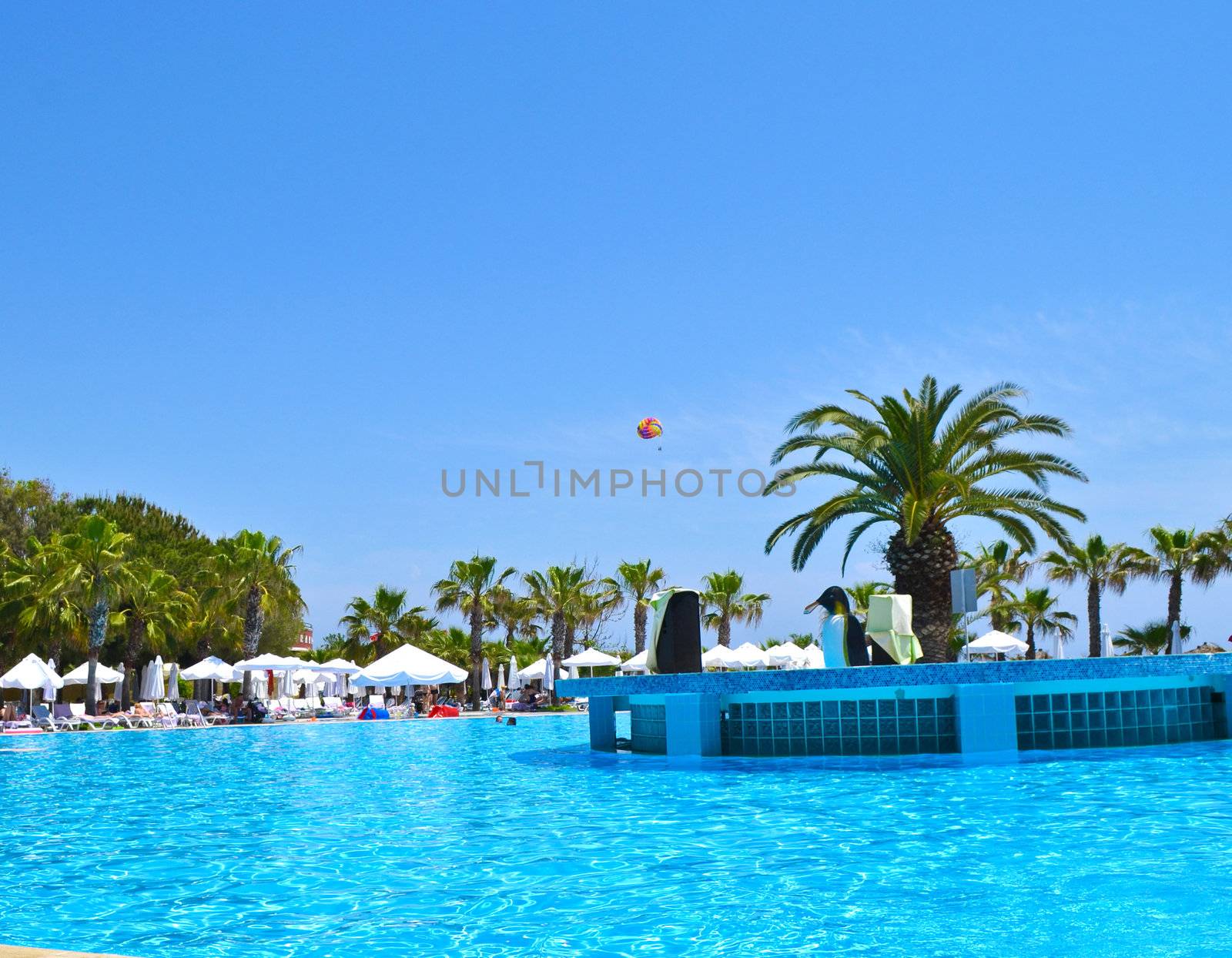Swimming pool of Sueno Hotels