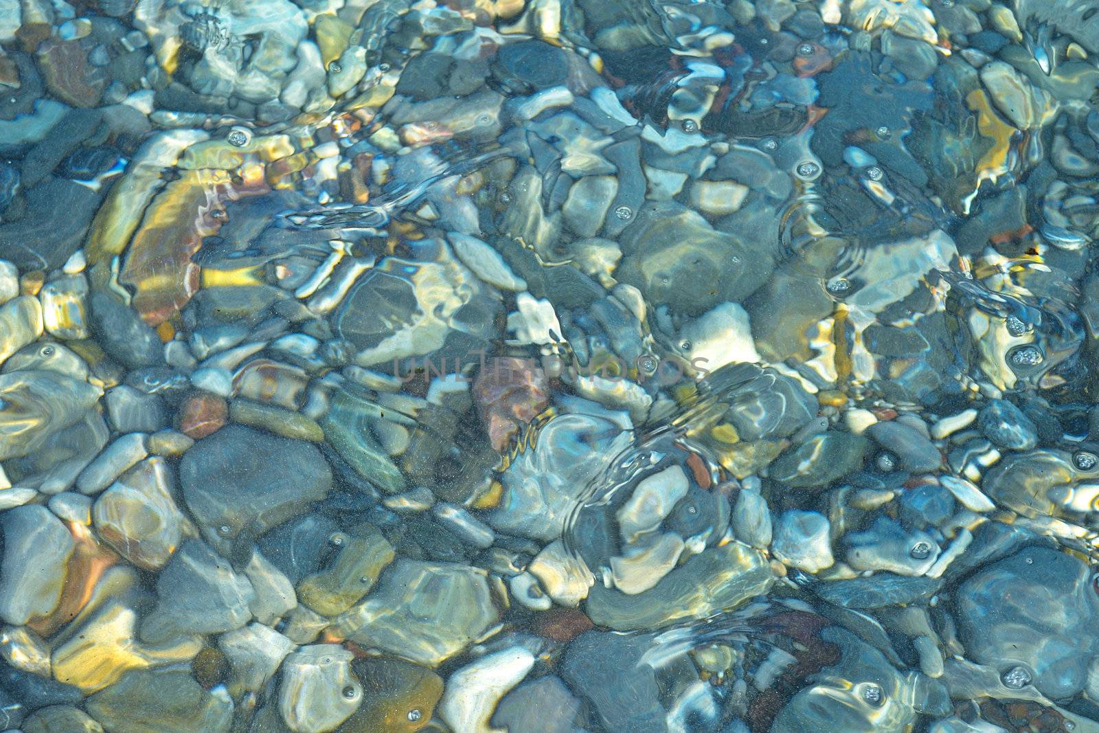 Rocks in a shallow pond