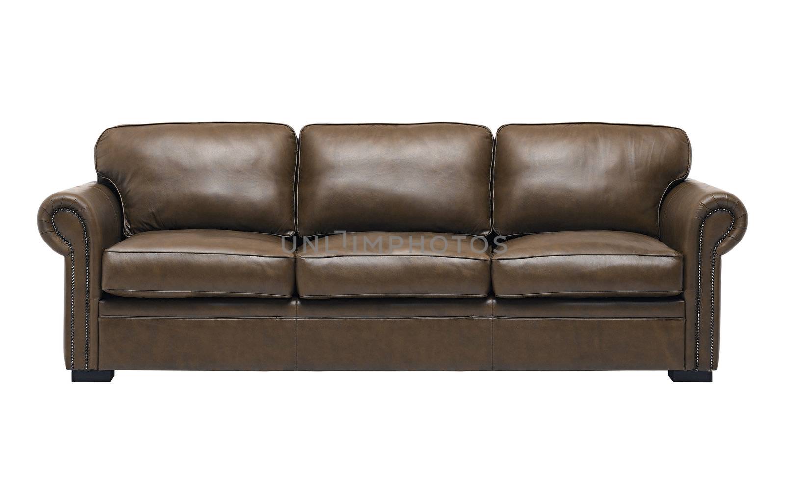 Nice and luxury leather sofa