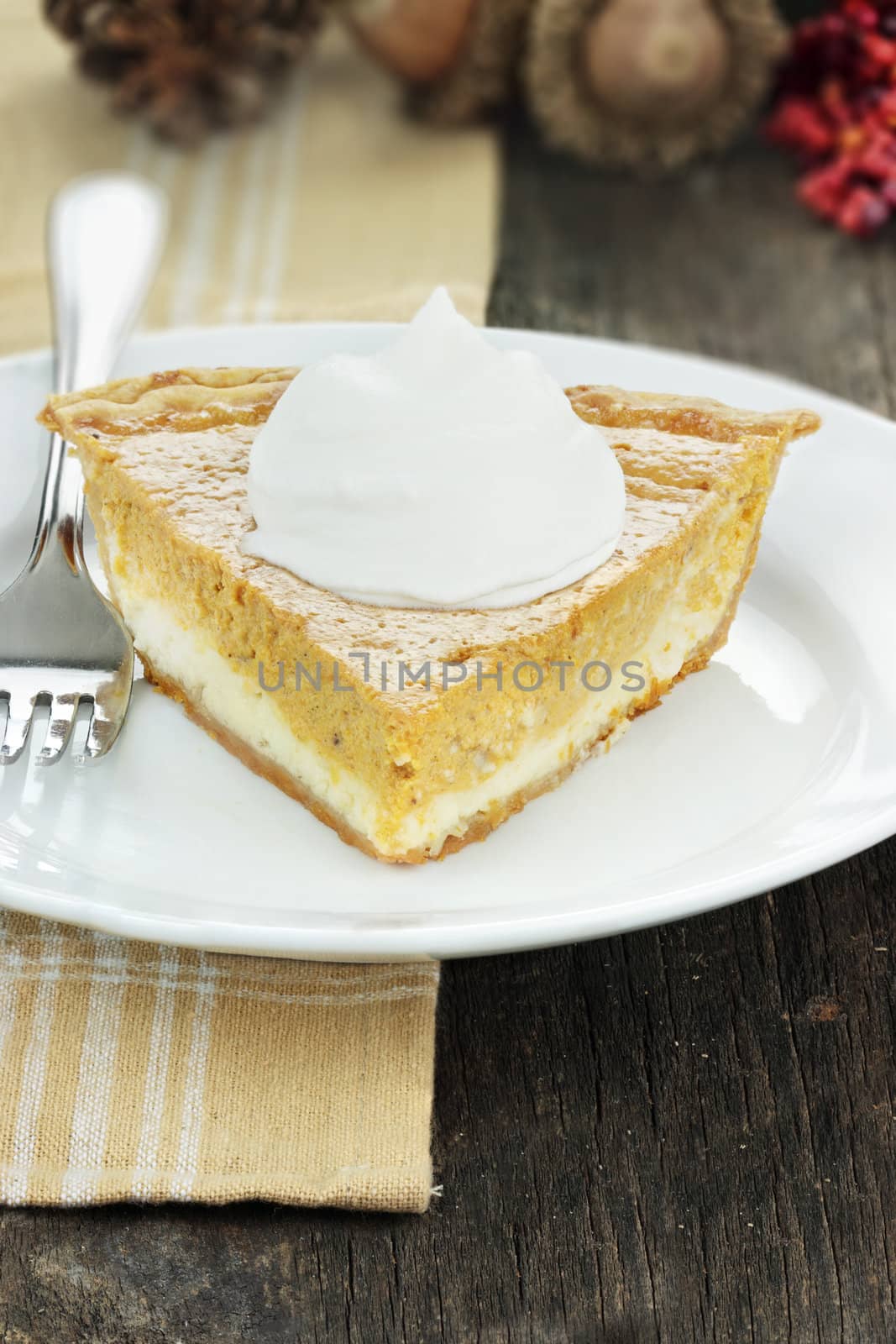 A slice of cream cheese pumpkin pie with whipped cream. Extreme shallow depth of field.