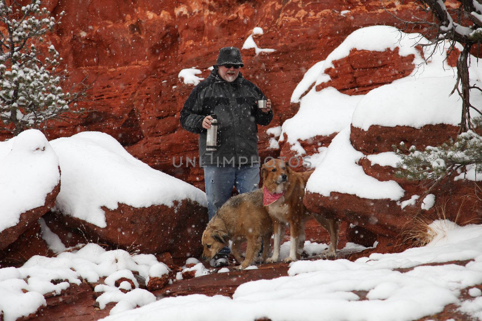 Mature caucasion man walking his dogs during a snowstorm in the Colorado high country, stops for a warming cup of coffee from his vacuum bottle.
