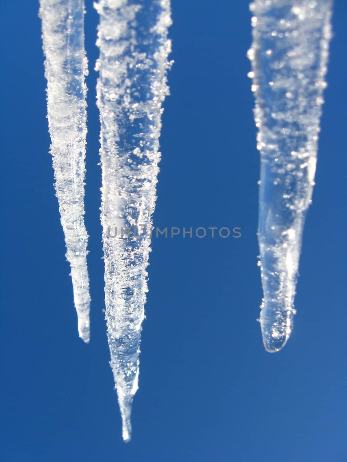 Icicles on a background of the blue sky by alexmak