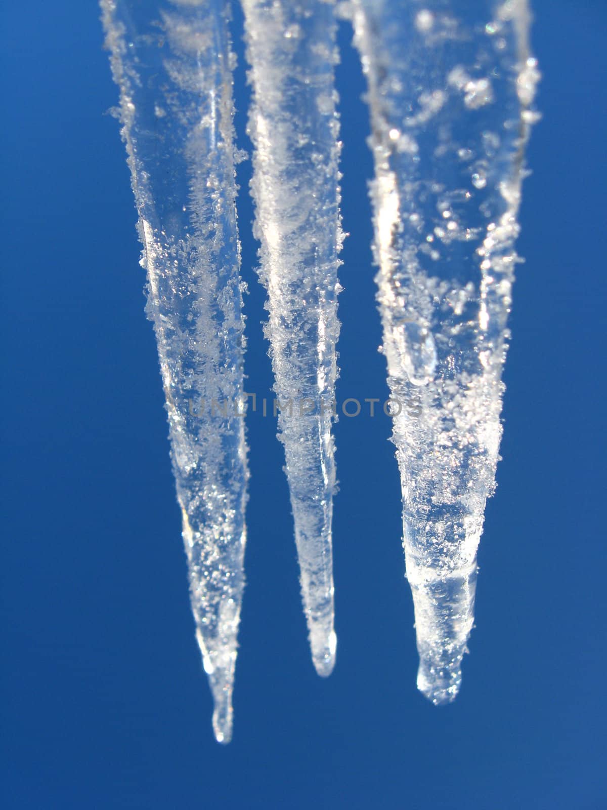 Icicles on a background of the blue sky by alexmak