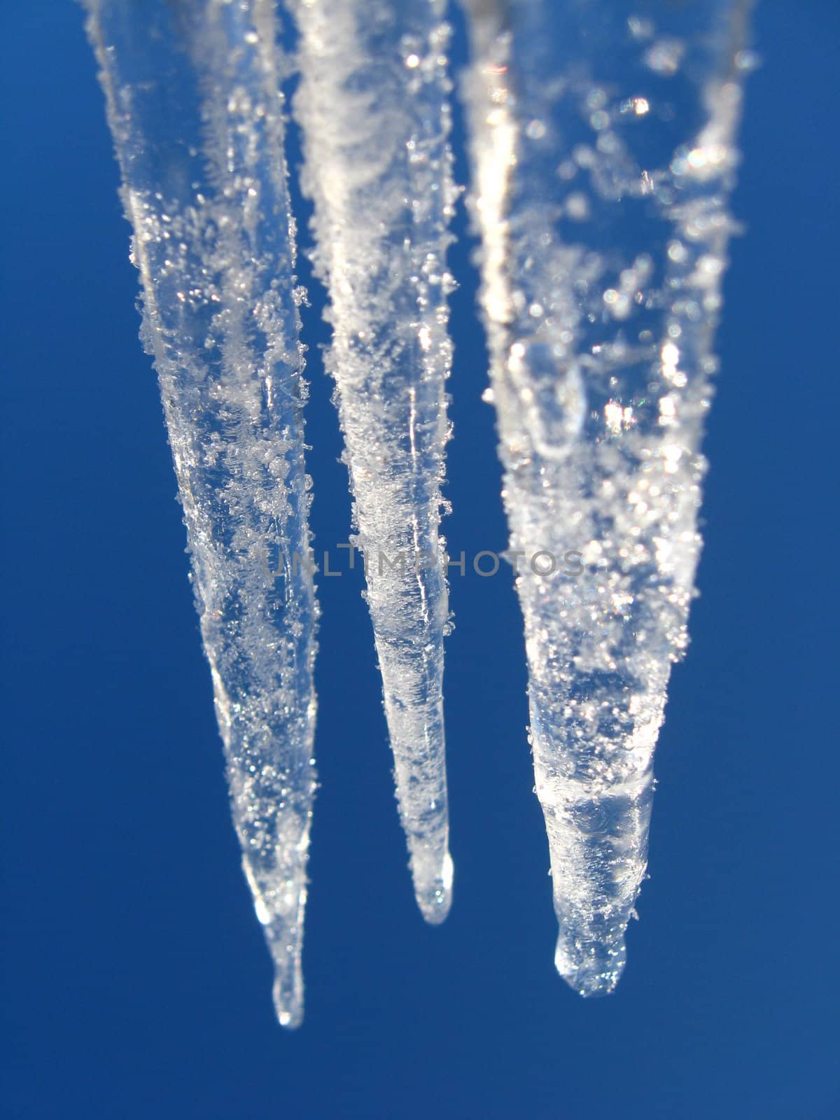 Icicles on a background of the blue sky by alexmak