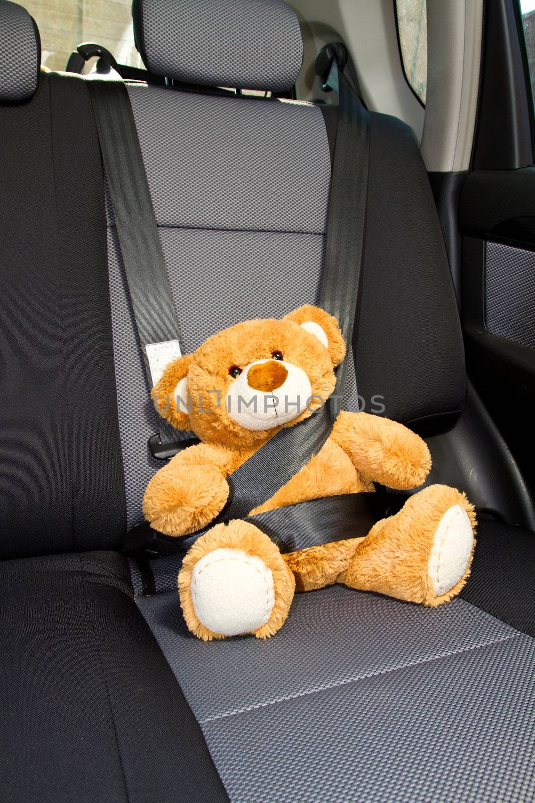 Teddy Bear buckled with safety belt in a car 