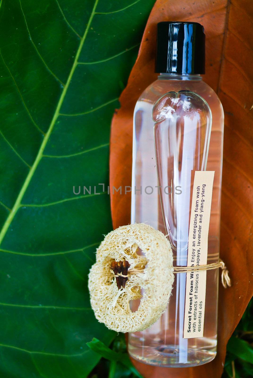 spa aromatherapy oil and beauty treatment by heinteh