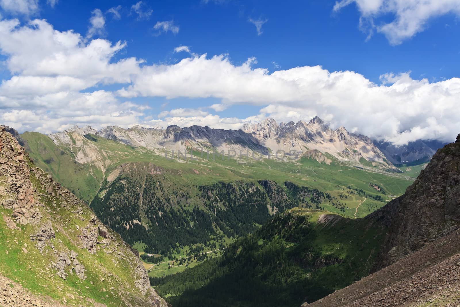summer view of San Pellegrino Valley with Monzoni moumtain in val di Fassa, Italian dolomites. 