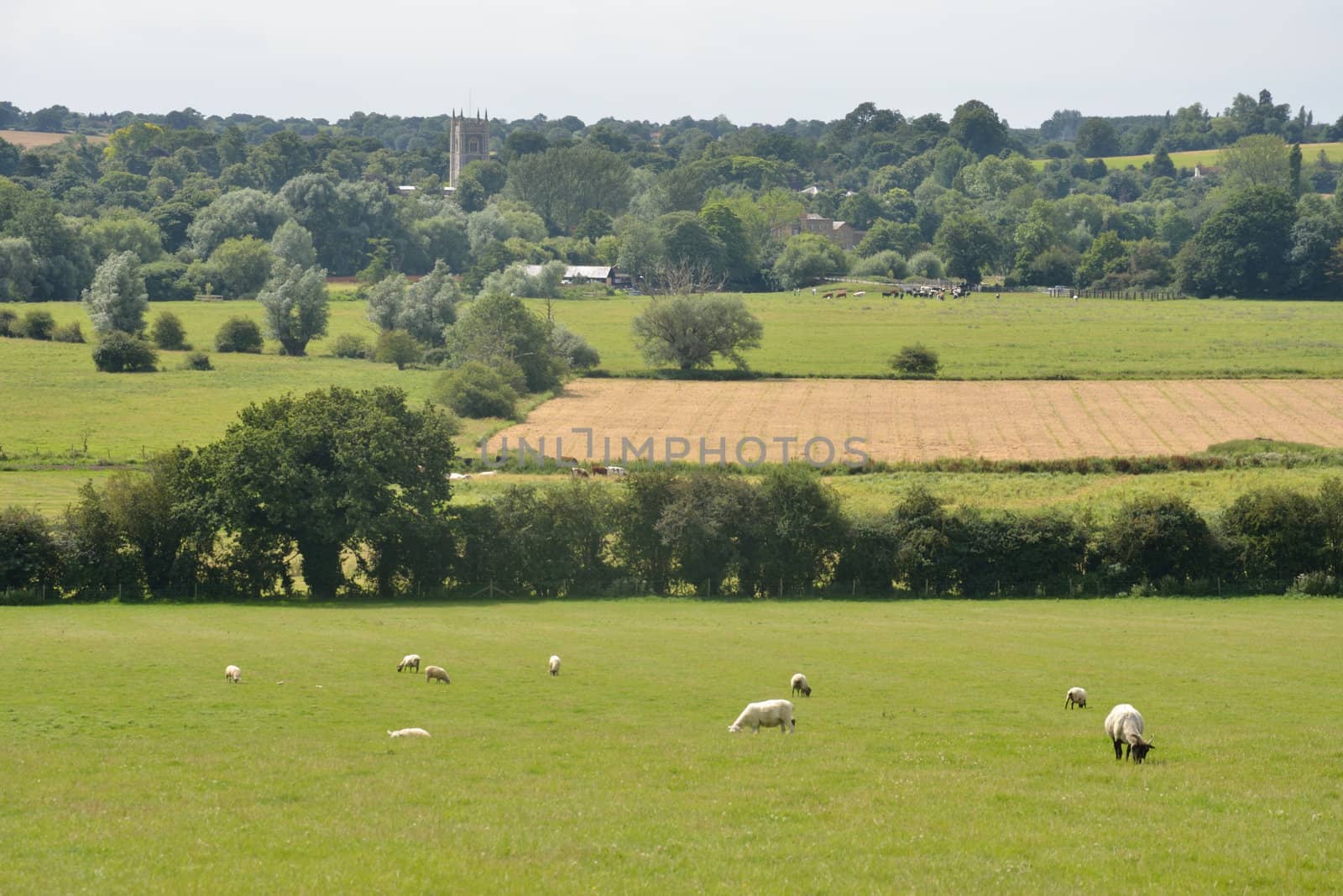 Landscape of suffolk east anglia england