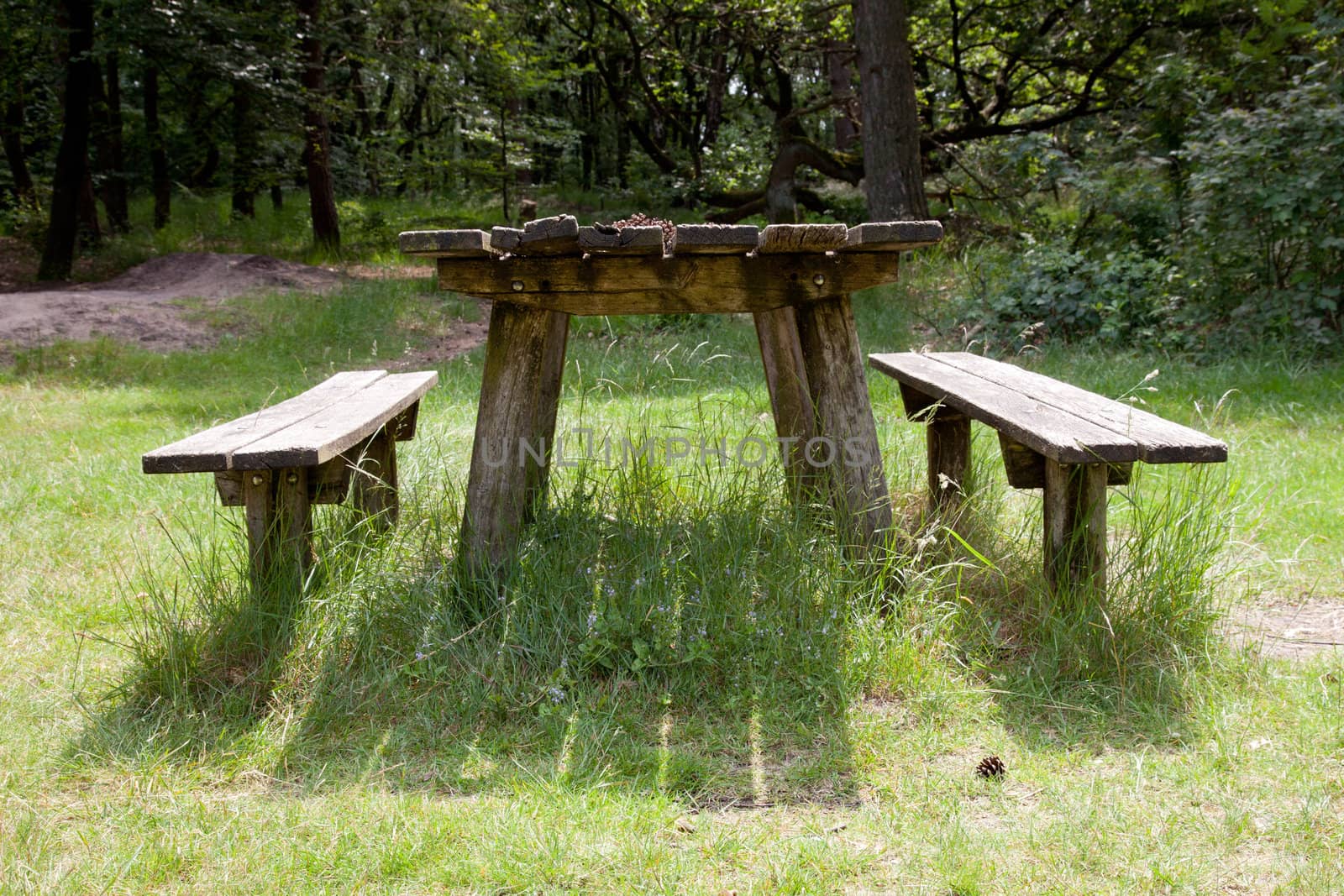 old empty table fot picknick in the forest