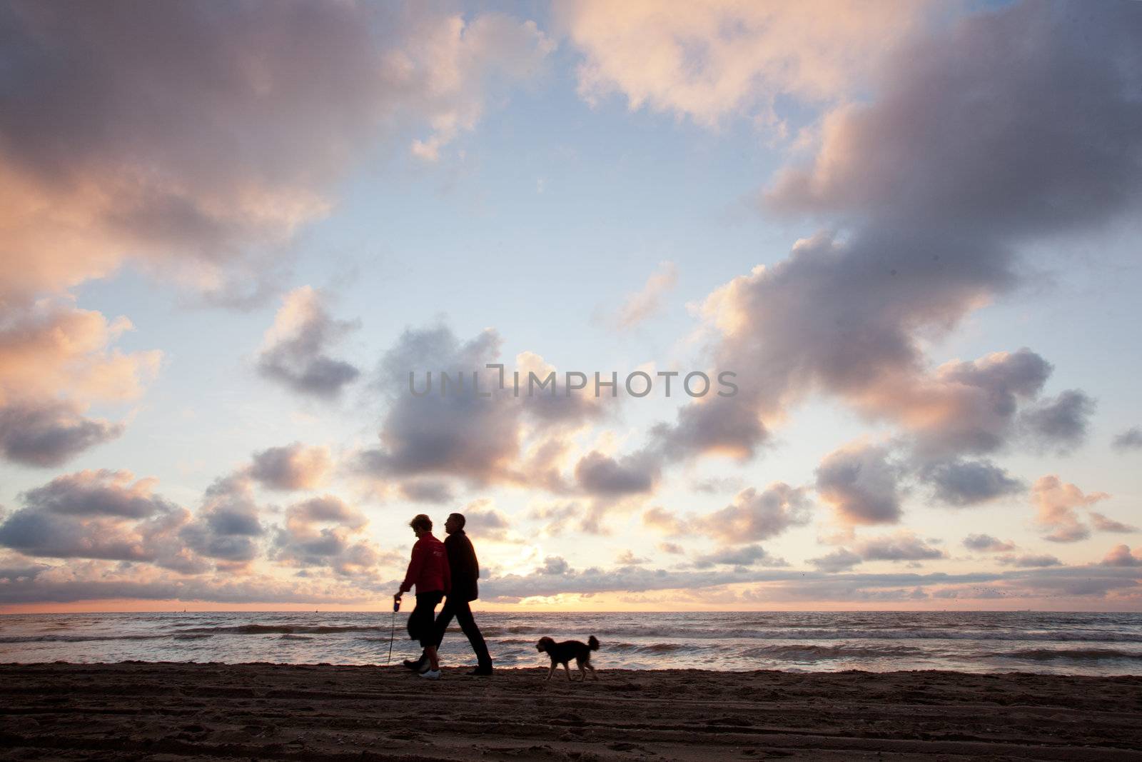 couple walking the dog on the beach by ahavelaar