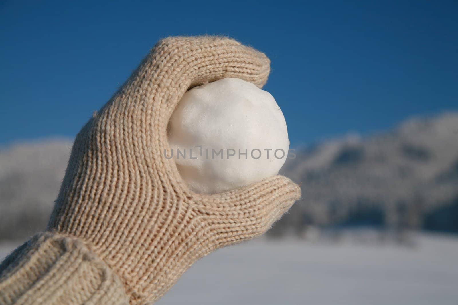 happy snow ball fight in winter time