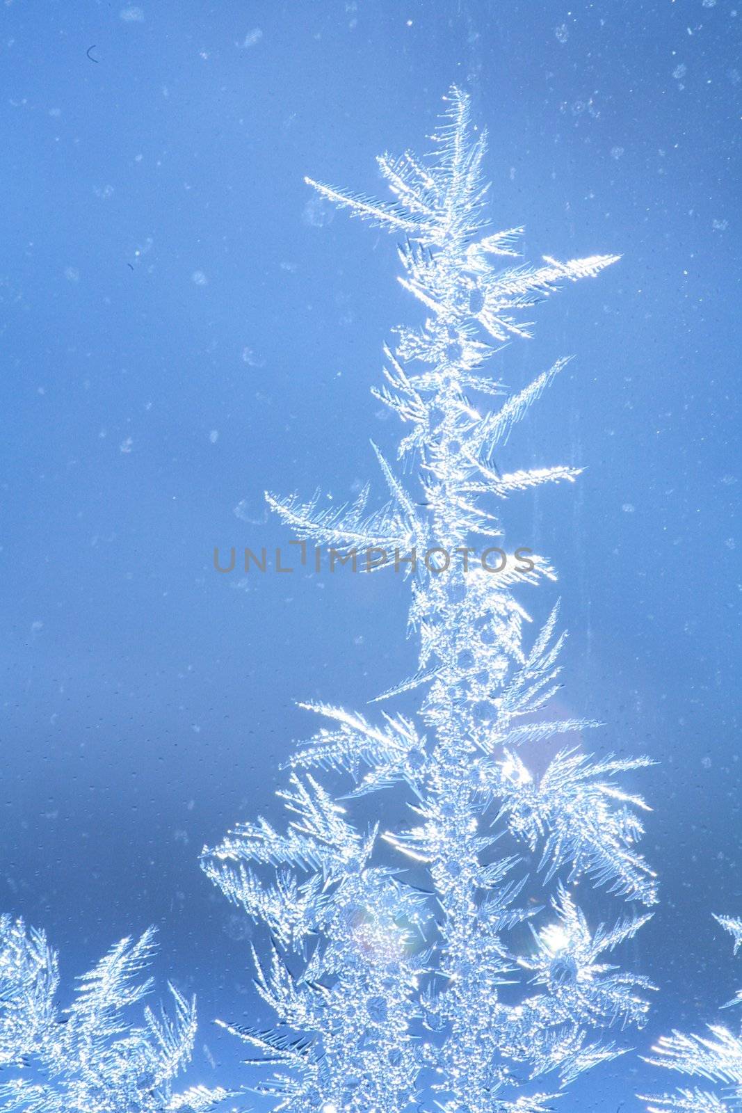 The patterns made by the frost on the window (hoarfrost background)