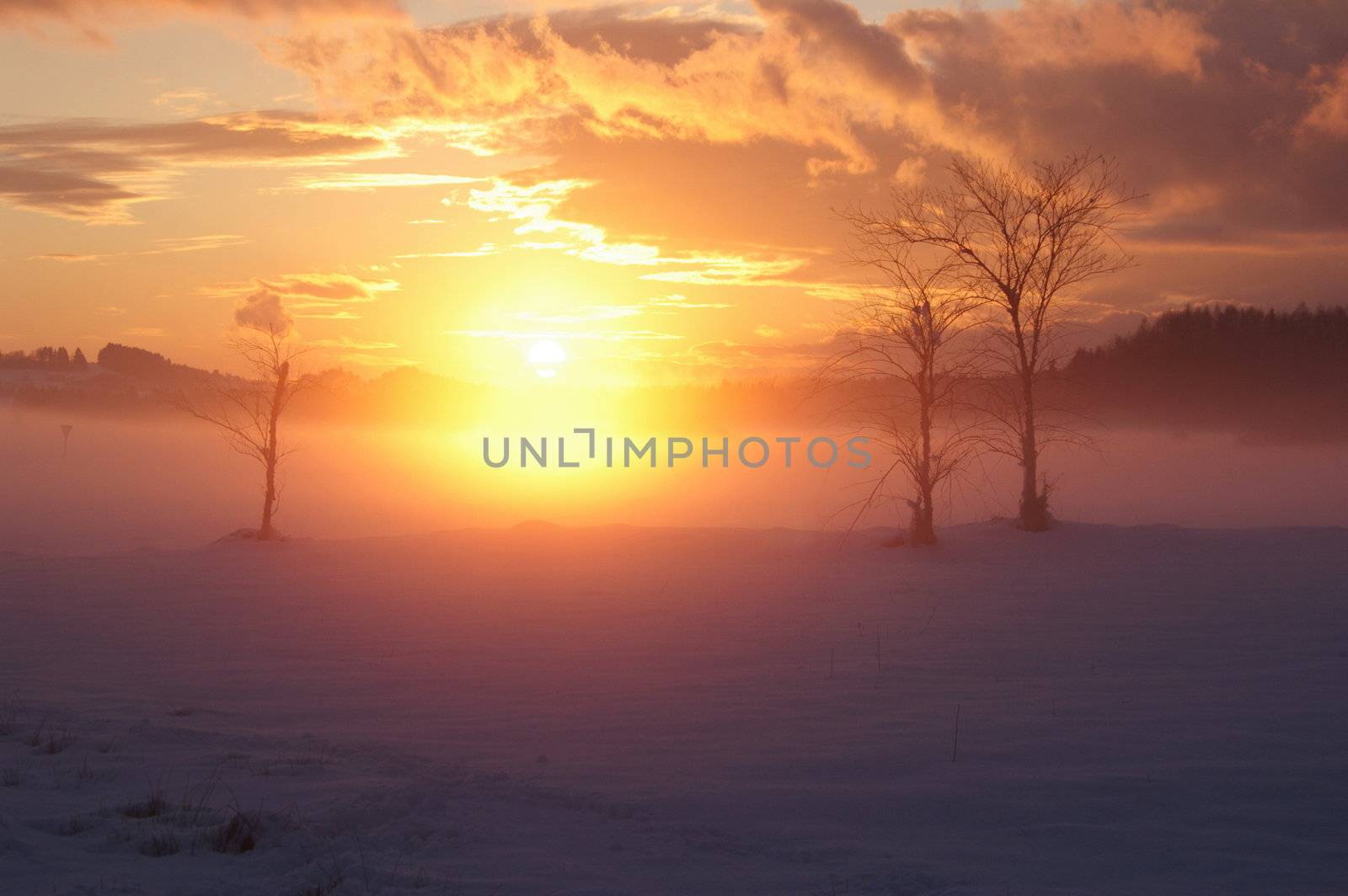 a romantic misty winter golden orange sunset