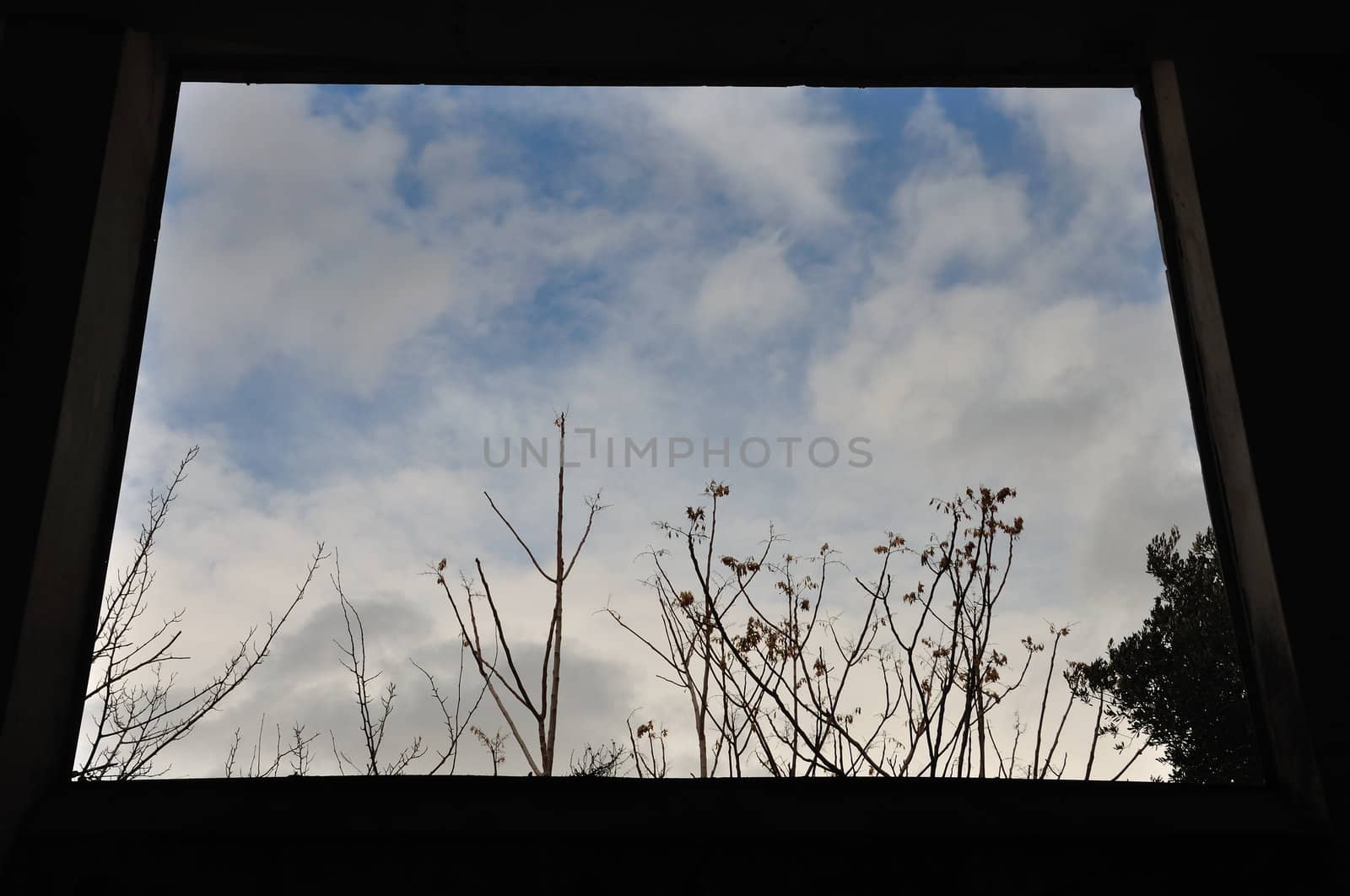View to nature scene through window frame in dark interior. Trees and winter sky.