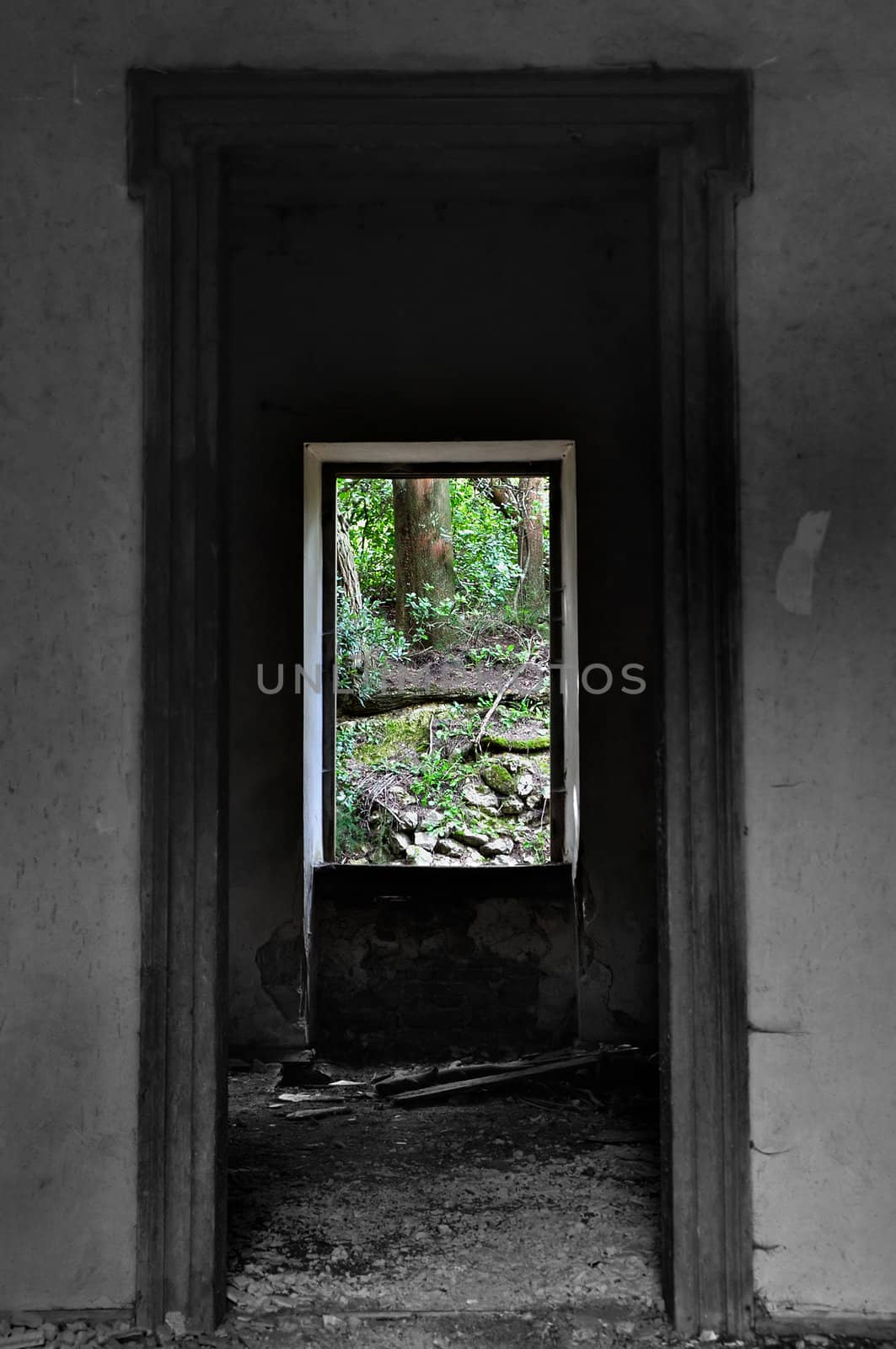 Window view to nature scene in abandoned house interior. Selective saturation.