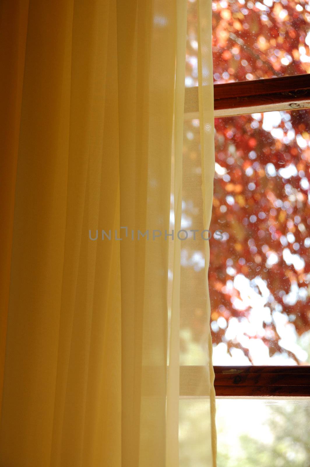 Yellow curtains and stained glass window view to abstract nature scene. 
